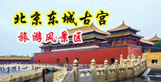 性爱视频操逼欧美激情四射中国北京-东城古宫旅游风景区